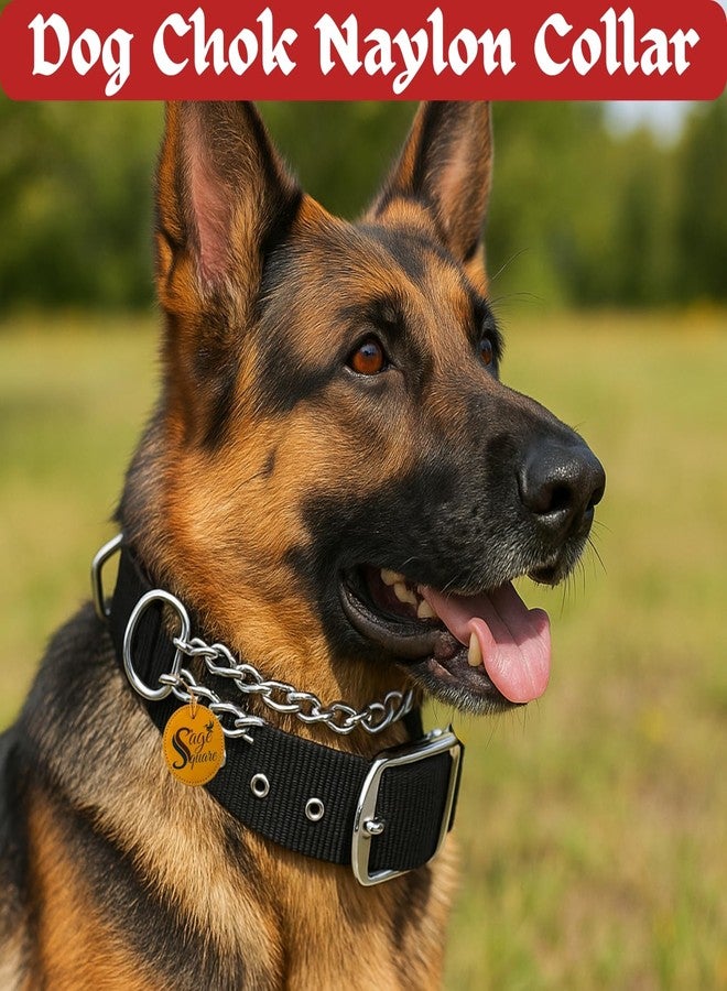 سايج سكوير طوق سلسلة خانق للكلاب من سيج سكوير - طوق معدني منزلق لتدريب الكلاب والتحكم في المقود وتصحيح السلوك | سلسلة فولاذية انزلاقية سلسة للمشي والطاعة والاستخدام الخارجي وتأديب الحيوانات الأليفة (0.75 بوصة) - Image 2